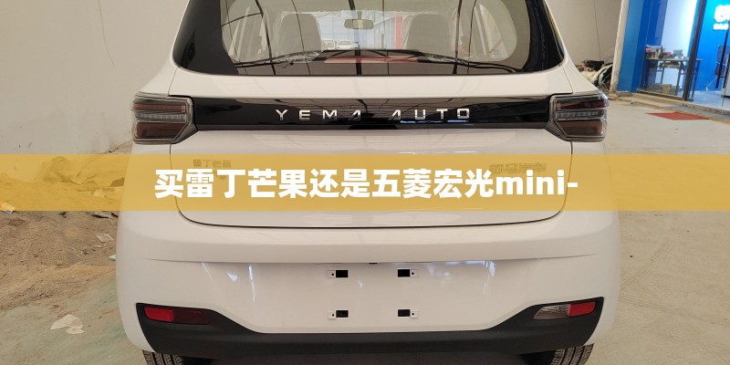 买雷丁芒果还是五菱宏光mini-