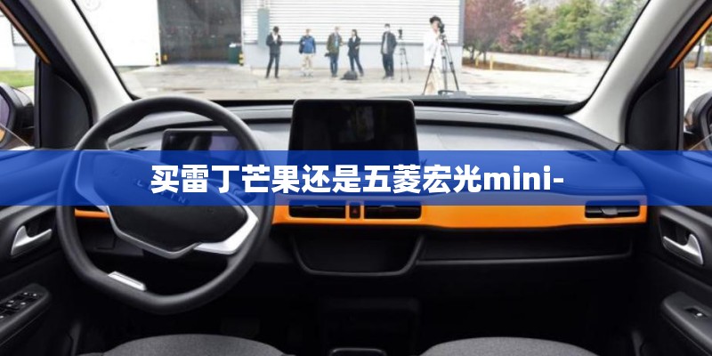 买雷丁芒果还是五菱宏光mini-
