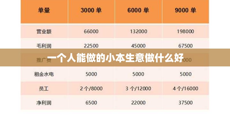 一个人能做的小本生意做什么好