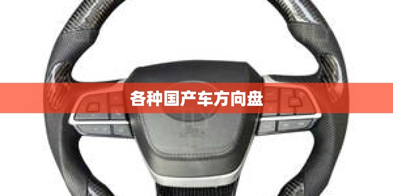 各种国产车方向盘