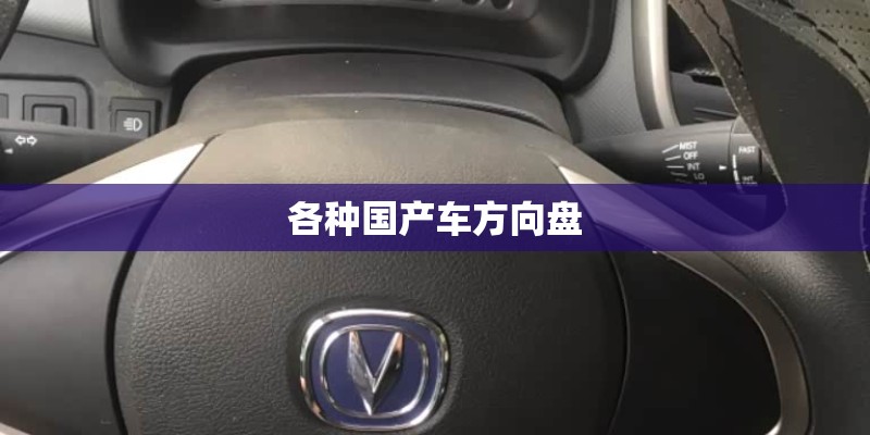 各种国产车方向盘