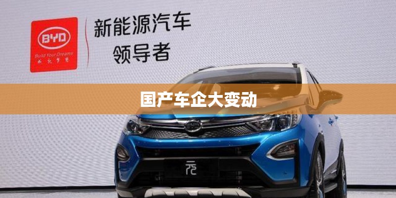 国产车企大变动