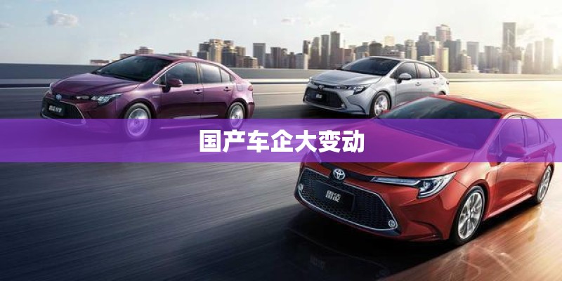 国产车企大变动