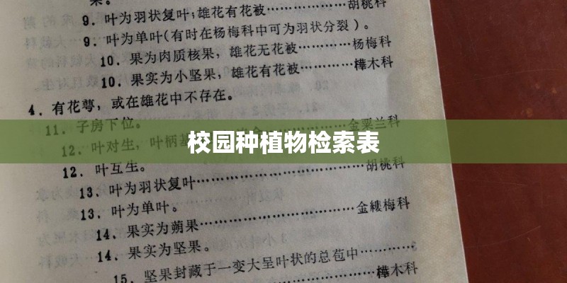 校园种植物检索表