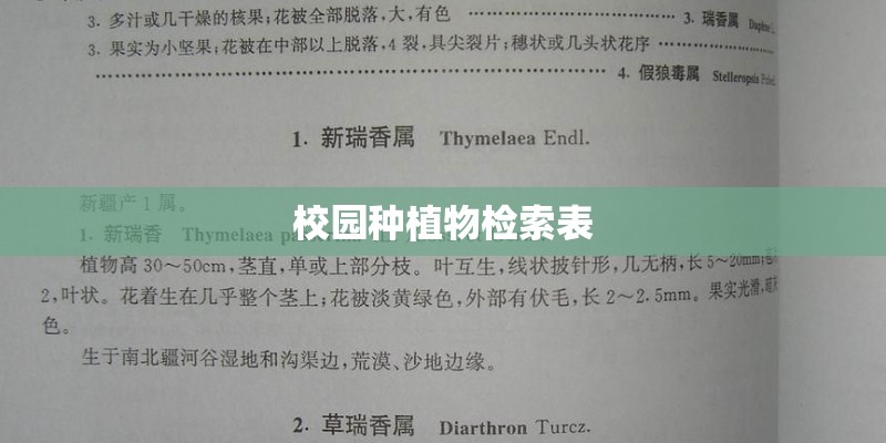 校园种植物检索表 校园种植物检索表