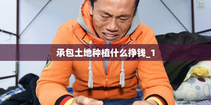 承包土地种植什么挣钱_1