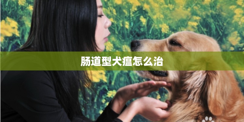 肠道型犬瘟怎么治