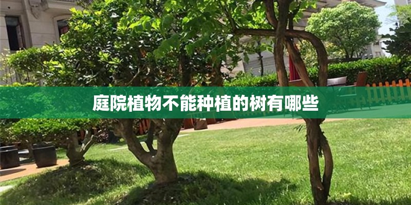 庭院植物不能种植的树有哪些
