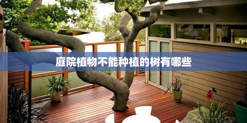 庭院植物不能种植的树有哪些