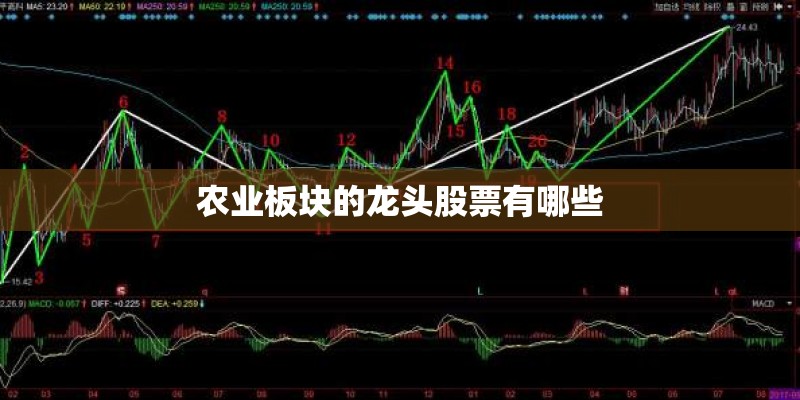 农业板块的龙头股票有哪些