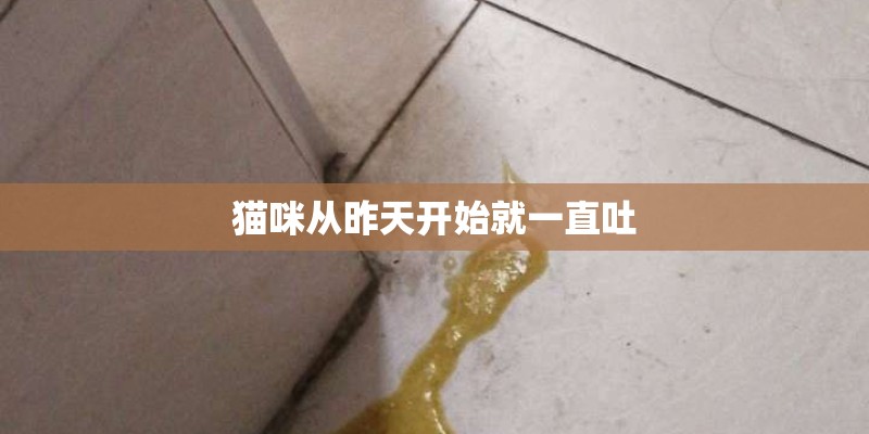 猫咪从昨天开始就一直吐