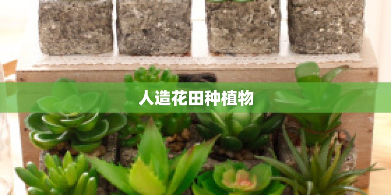人造花田种植物