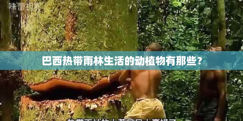 巴西热带雨林生活的动植物有那些？