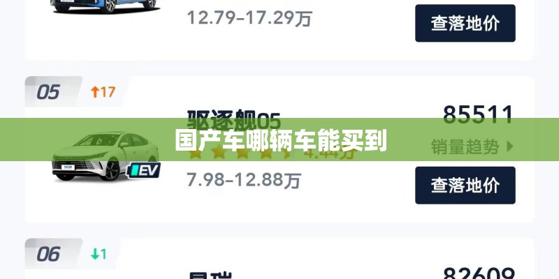 国产车哪辆车能买到