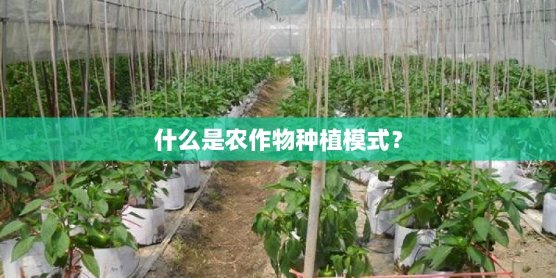 什么是农作物种植模式？