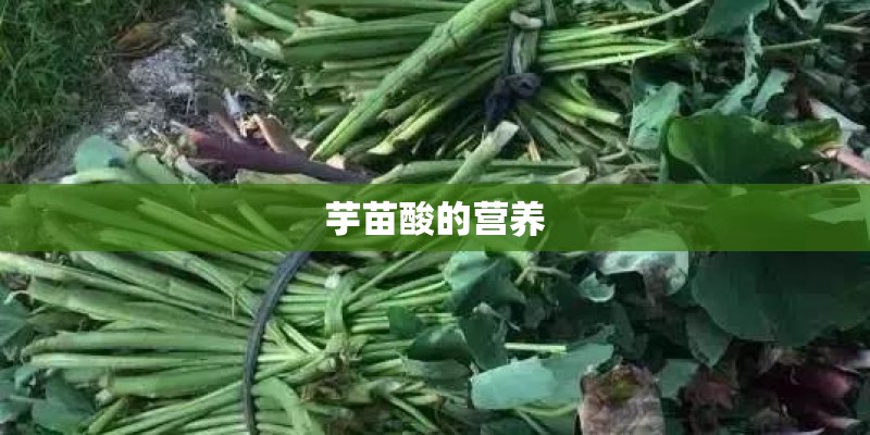 芋苗酸的营养