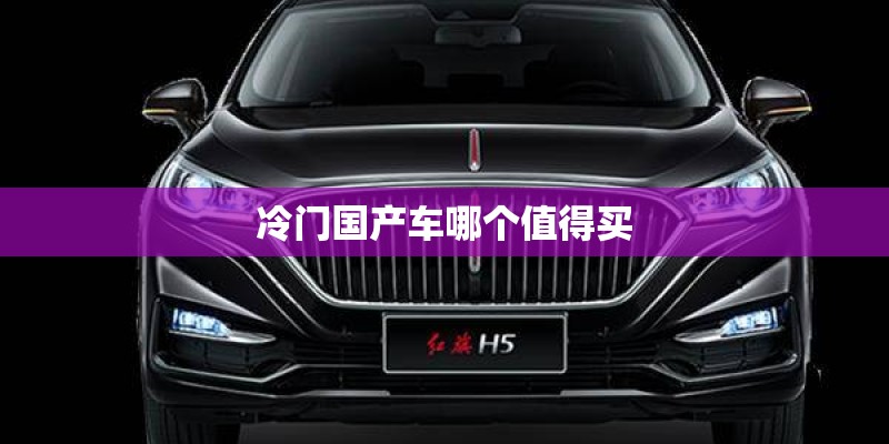 冷门国产车哪个值得买