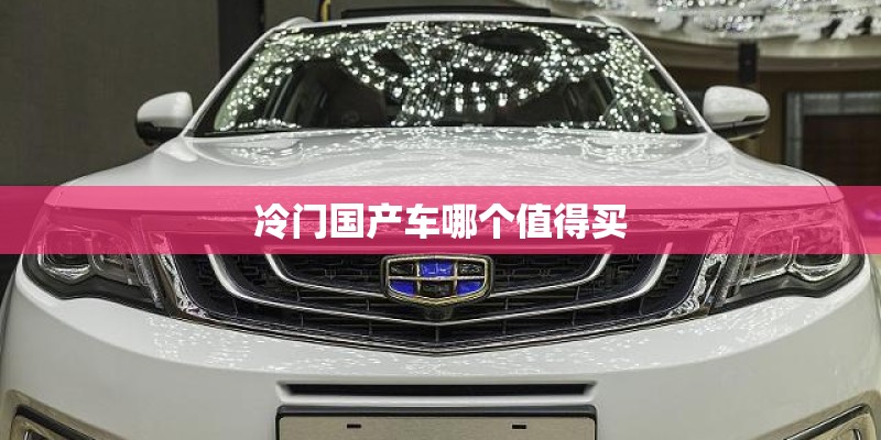 冷门国产车哪个值得买