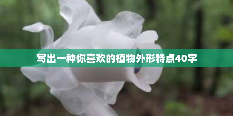 写出一种你喜欢的植物外形特点40字