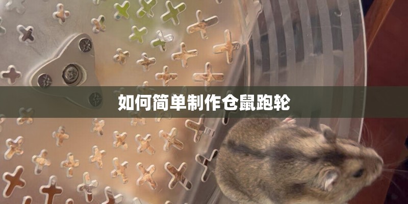 如何简单制作仓鼠跑轮