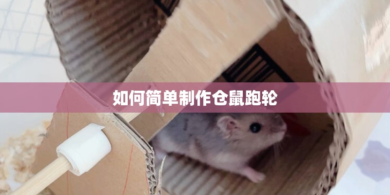 如何简单制作仓鼠跑轮