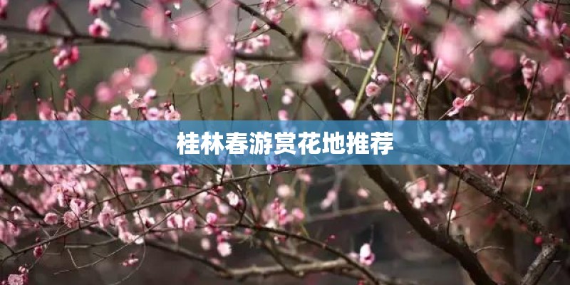 桂林春游赏花地推荐