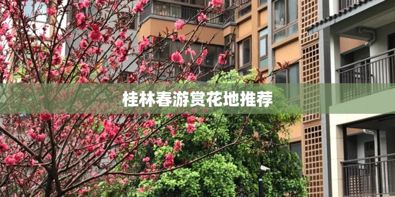 桂林春游赏花地推荐