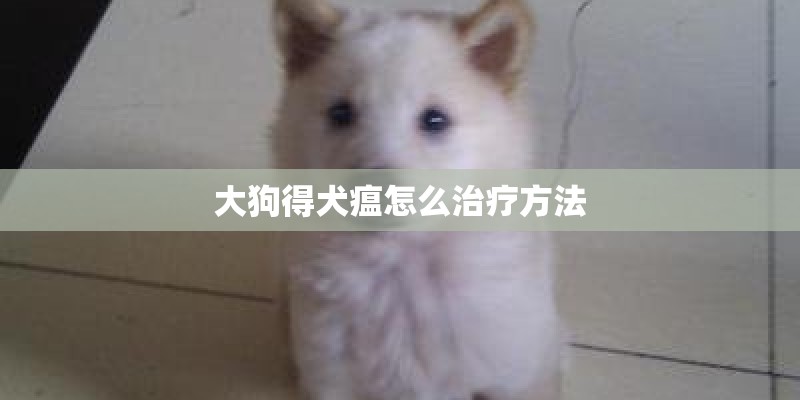 大狗得犬瘟怎么治疗方法