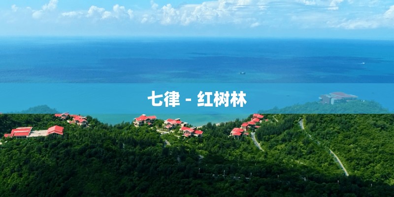 七律 - 红树林
