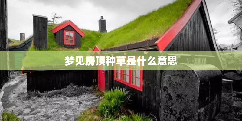 梦见房顶种草是什么意思