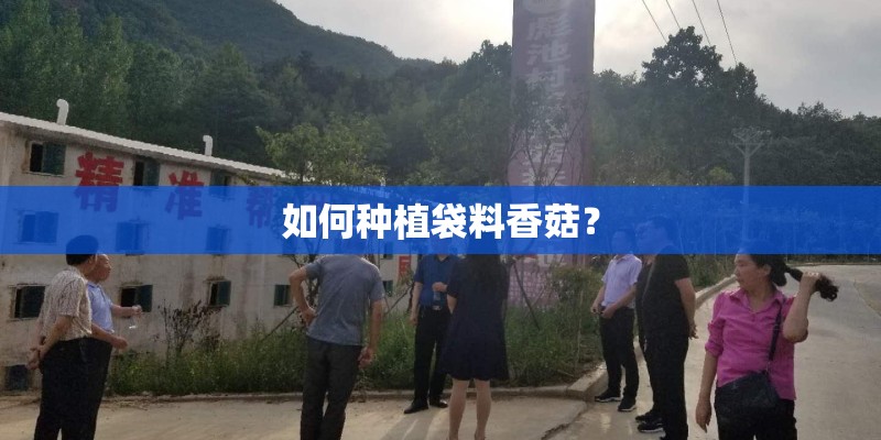 如何种植袋料香菇？