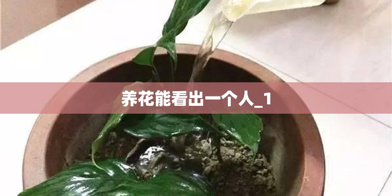 养花能看出一个人_1