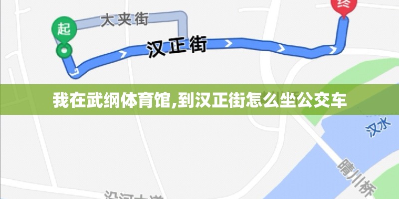 我在武纲体育馆,到汉正街怎么坐公交车