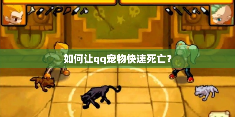 如何让qq宠物快速死亡？