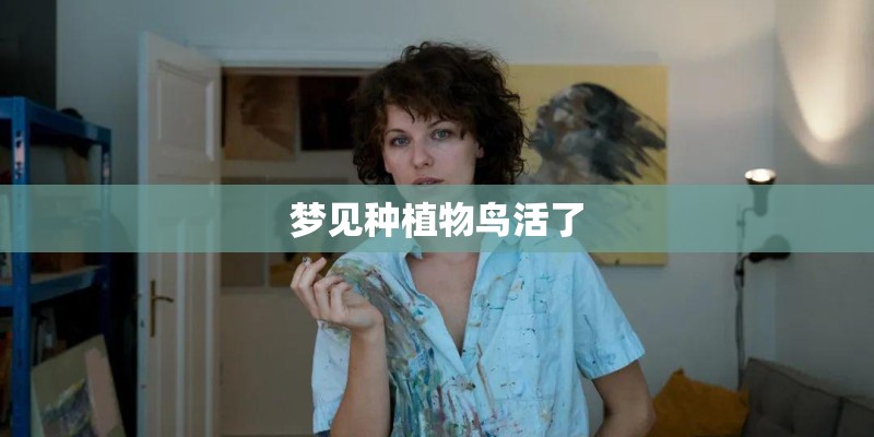 梦见种植物鸟活了