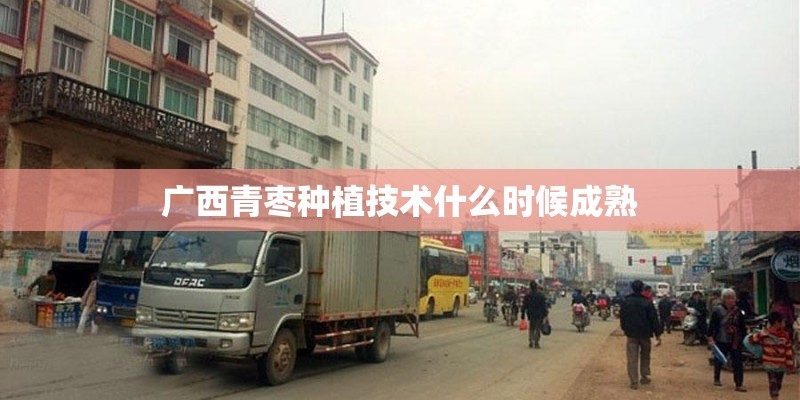 广西青枣种植技术什么时候成熟