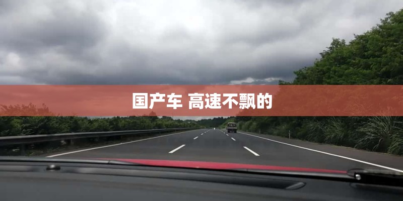 国产车 高速不飘的 国产车 高速不飘的