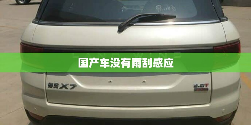 国产车没有雨刮感应