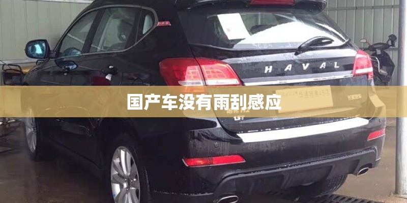国产车没有雨刮感应 国产车没有雨刮感应