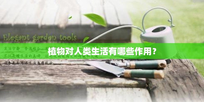 植物对人类生活有哪些作用？