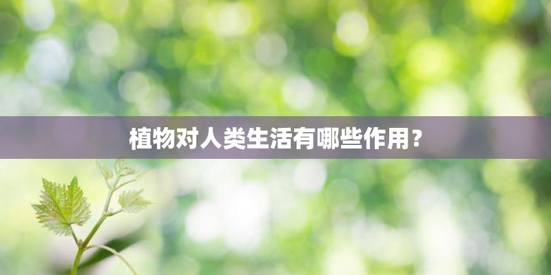 植物对人类生活有哪些作用？