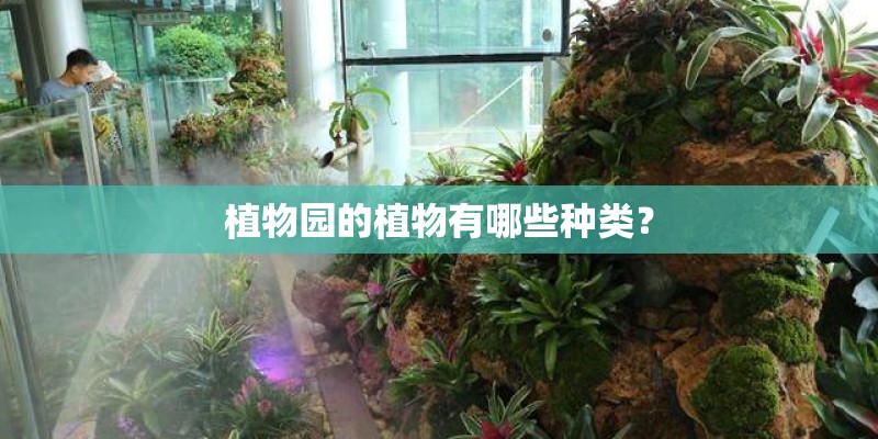 植物园的植物有哪些种类？