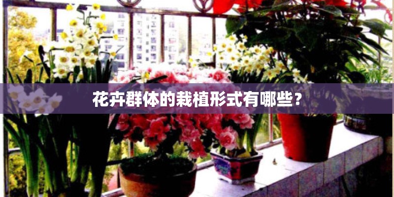 花卉群体的栽植形式有哪些？