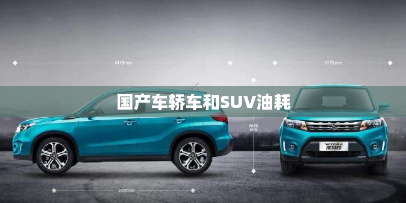 国产车轿车和SUV油耗