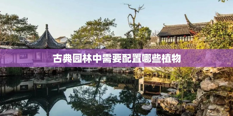 古典园林中需要配置哪些植物