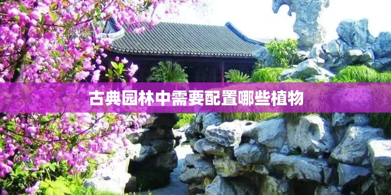 古典园林中需要配置哪些植物