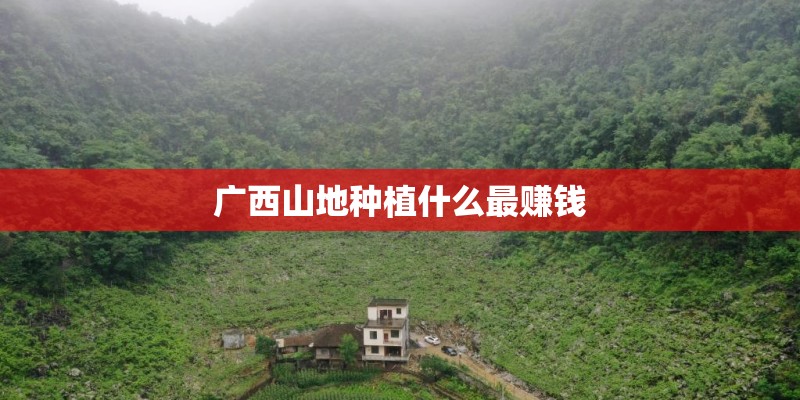 广西山地种植什么最赚钱