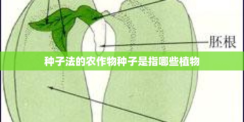 种子法的农作物种子是指哪些植物