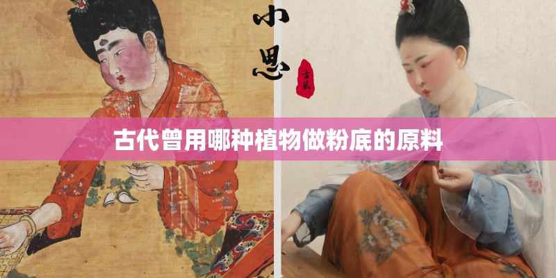 古代曾用哪种植物做粉底的原料