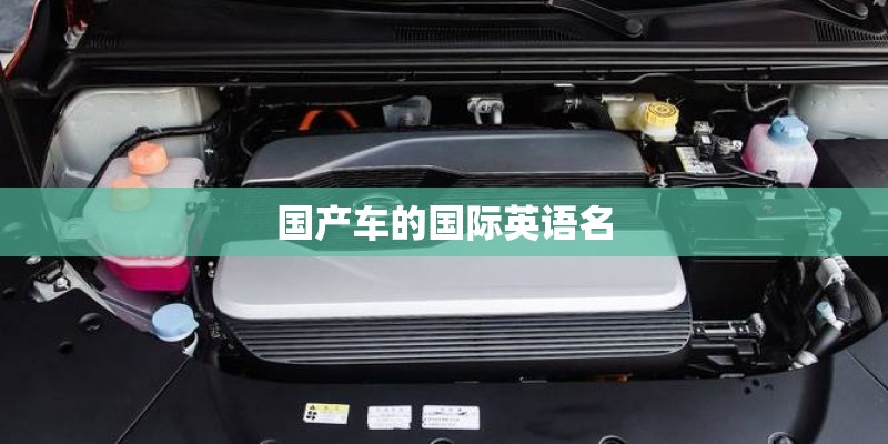 国产车的国际英语名
